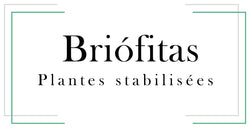 Briofitas, plantes stabilisées